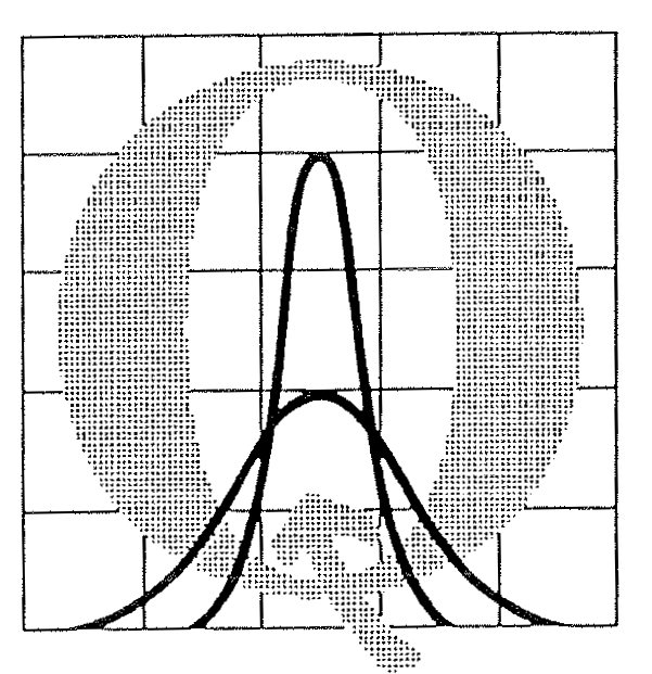 Progetto Sei Sigma Confindustria Bergamo 1993